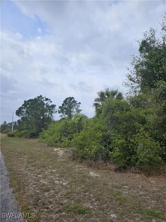 1711 Clayton Ave, Lehigh Acres, FL 33972 - photo 5