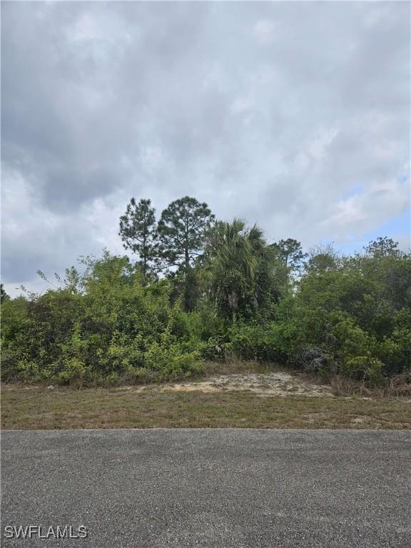 1711 Clayton Ave, Lehigh Acres, FL 33972 - photo 6