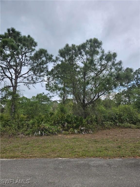 1711 Clayton Ave, Lehigh Acres, FL 33972 - photo 7