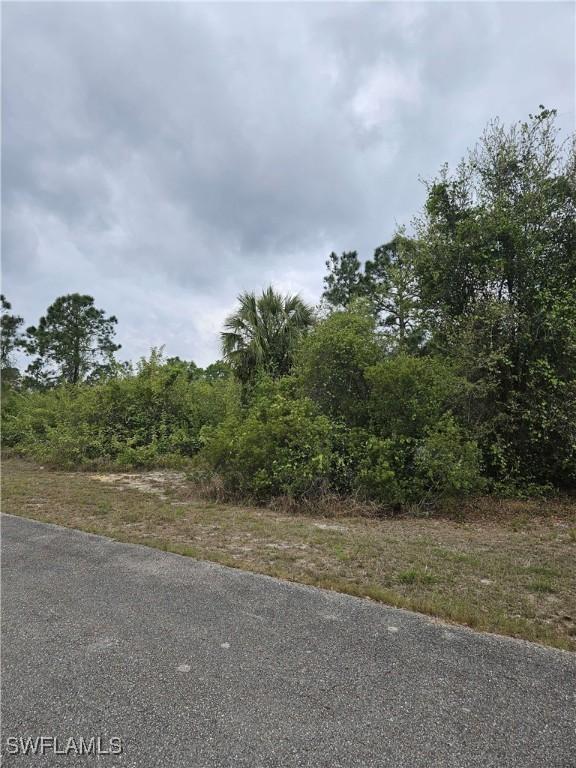 1711 Clayton Ave, Lehigh Acres, FL 33972 - photo 8