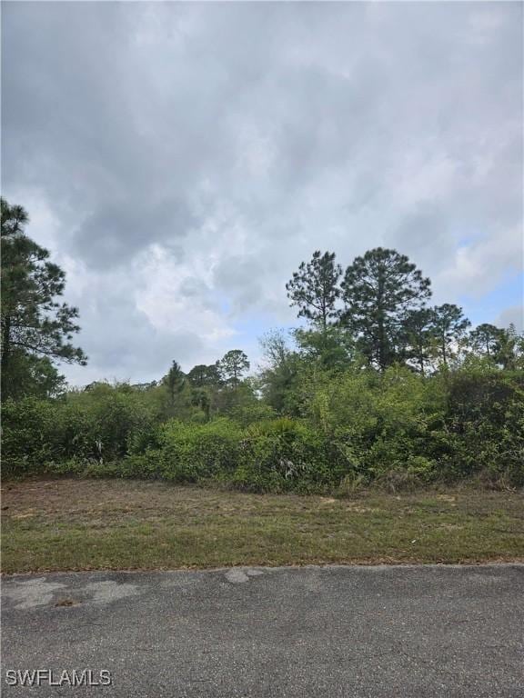 1711 Clayton Ave, Lehigh Acres, FL 33972 - photo 3