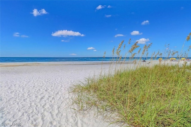 5700 Bonita Beach Rd SW Unit 204, Bonita Springs, FL 34134 - photo 15
