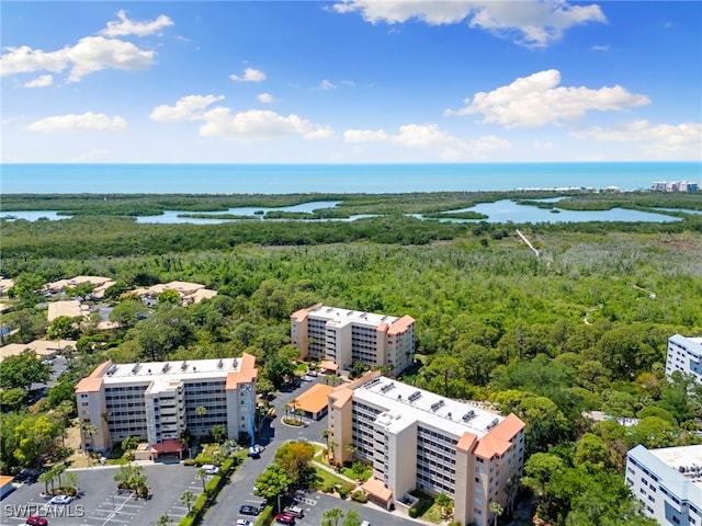 15171 Cedarwood Ln Unit 3105, Naples, FL 34110 - photo 29