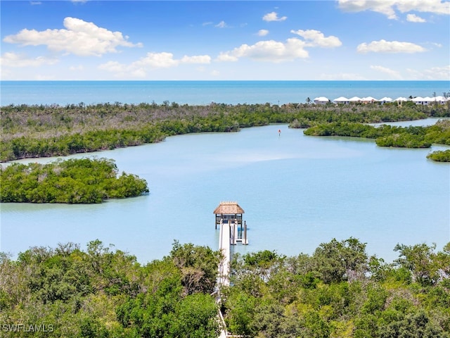 15171 Cedarwood Ln Unit 3105, Naples, FL 34110 - photo 33