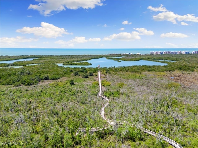 15171 Cedarwood Ln Unit 3105, Naples, FL 34110 - photo 44