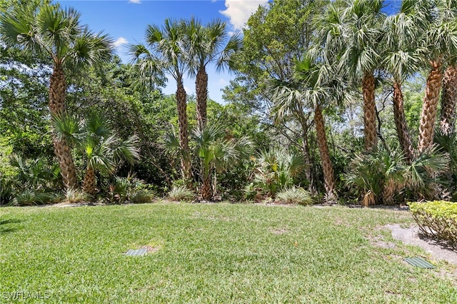 15171 Cedarwood Ln Unit 3105, Naples, FL 34110 - photo 32