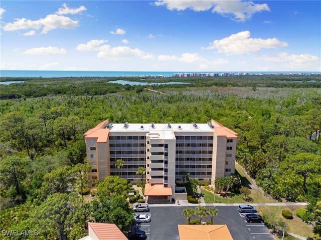 15171 Cedarwood Ln Unit 3105, Naples, FL 34110 - photo 38
