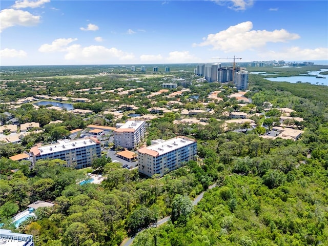 15171 Cedarwood Ln Unit 3105, Naples, FL 34110 - photo 45
