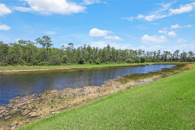 9590 Trevi Ct Unit 5314, Naples, FL 34113 - photo 29