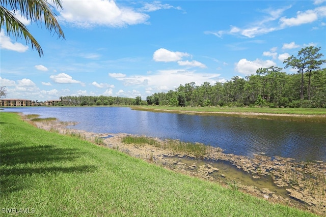 9590 Trevi Ct Unit 5314, Naples, FL 34113 - photo 30