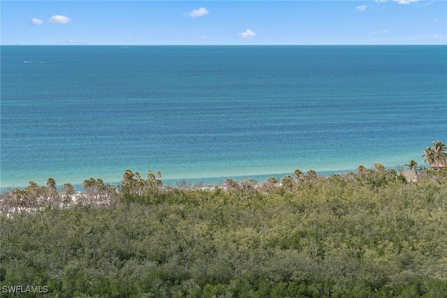 6897 Grenadier Blvd Unit 1903, Naples, FL 34108 - photo 49