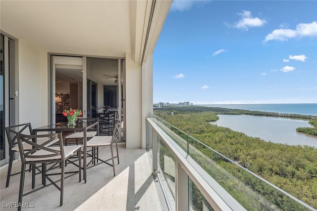 6897 Grenadier Blvd Unit 1903, Naples, FL 34108 - photo 36