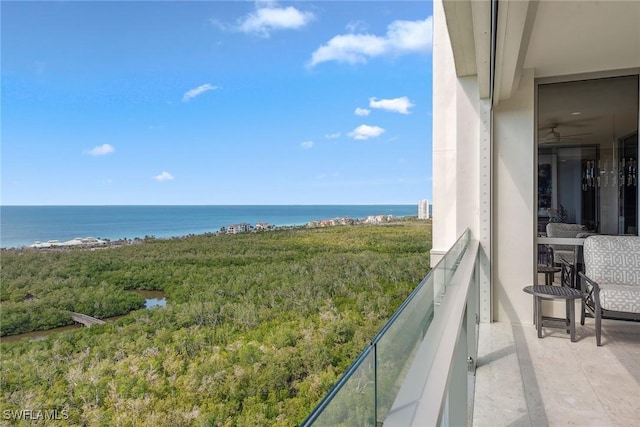 6897 Grenadier Blvd Unit 1903, Naples, FL 34108 - photo 40