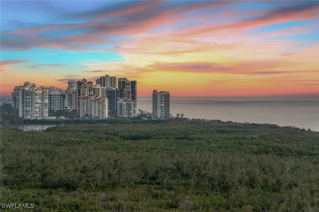6897 Grenadier Blvd Unit 1903, Naples, FL 34108 - photo 43