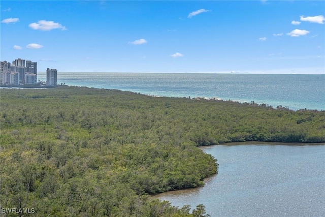 6897 Grenadier Blvd Unit 1903, Naples, FL 34108 - photo 48