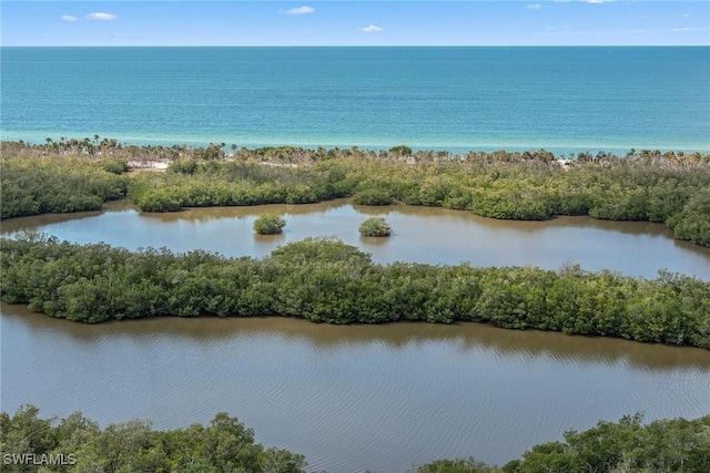 6897 Grenadier Blvd Unit 1903, Naples, FL 34108 - photo 44