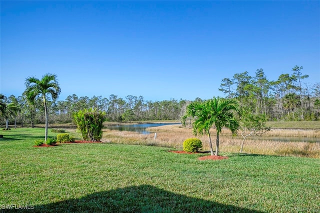 13098 Cardeto Ct, Estero, FL 33928 - photo 32