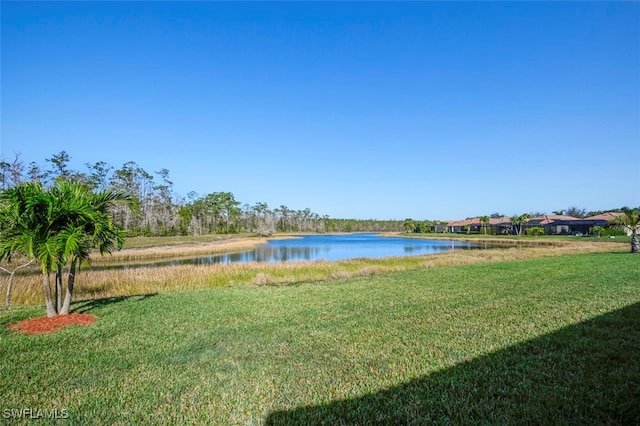 13098 Cardeto Ct, Estero, FL 33928 - photo 36