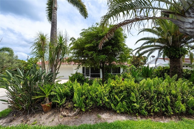 11060 Orangewood Dr, Bonita Springs, FL 34135 - photo 3
