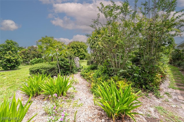 11060 Orangewood Dr, Bonita Springs, FL 34135 - photo 38
