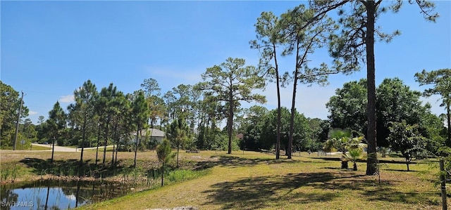 8051 Primrose Blvd, Labelle, FL 33935 - photo 21