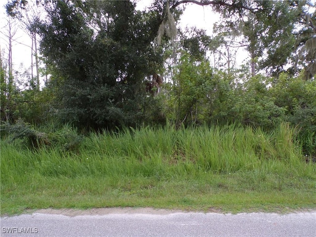12103 Leroy Ave, Port Charlotte, FL 33953 - photo 3