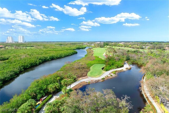 24720 Bay Bean Ct, Bonita Springs, FL 34134 - photo 35