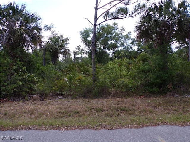 2300 Remagen St, Port Charlotte, FL 33953 - photo 1
