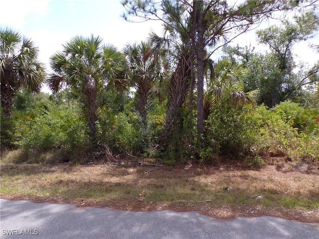 2300 Remagen St, Port Charlotte, FL 33953 - photo 5