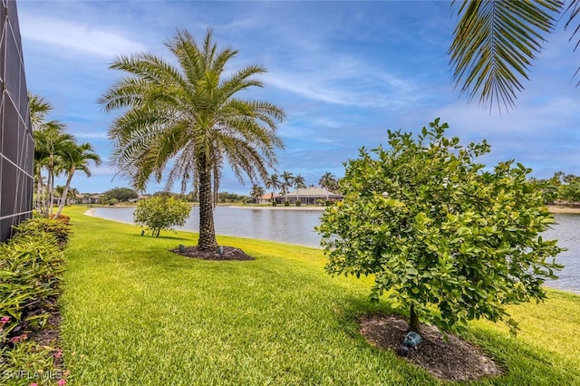 4817 Keswick Way, Naples, FL 34105 - photo 42
