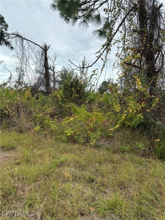 8234 Dimstead St, Port Charlotte, FL 33981 - photo 5