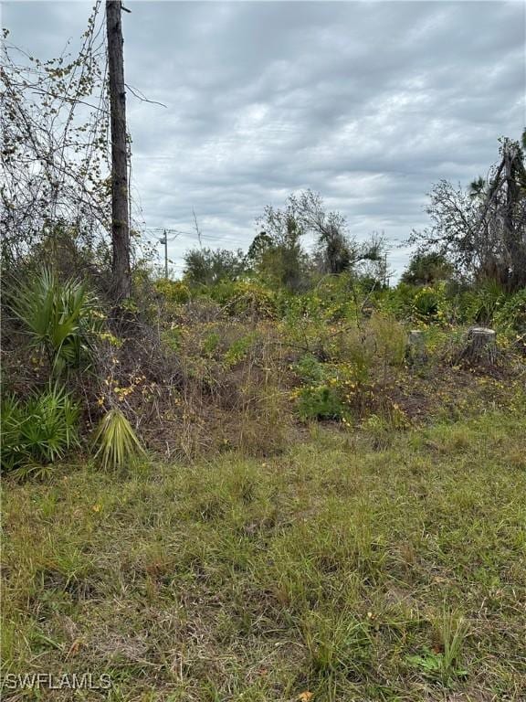 8234 Dimstead St, Port Charlotte, FL 33981 - photo 3