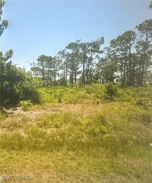 8234 Dimstead St, Port Charlotte, FL 33981 - photo 1