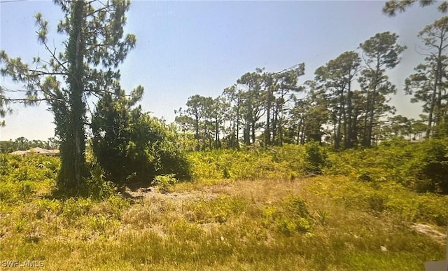 8234 Dimstead St, Port Charlotte, FL 33981 - photo 7