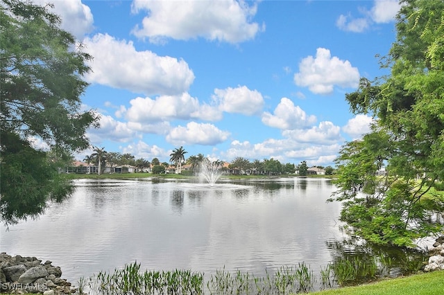 17014 Colony Lakes Blvd, Fort Myers, FL 33908 - photo 49
