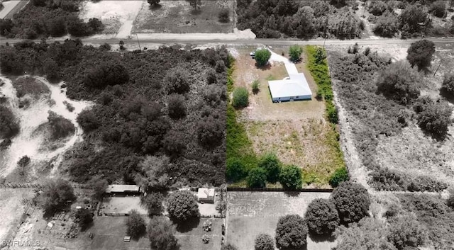 7824 6th Ter, Labelle, FL 33935 - photo 31