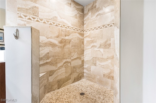 10530 Amiata Way Unit 201, Fort Myers, FL 33913 - bathroom with tiled shower