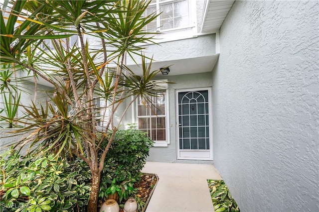 2141 Tama Cir Unit 202, Naples, FL 34112 - doorway to property featuring stucco siding
