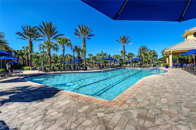 10276 Livorno Dr, Fort Myers, FL 33913 - photo 33