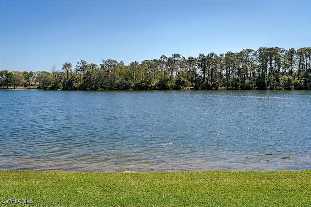 6136 Dogleg Dr, Naples, FL 34113 - photo 41