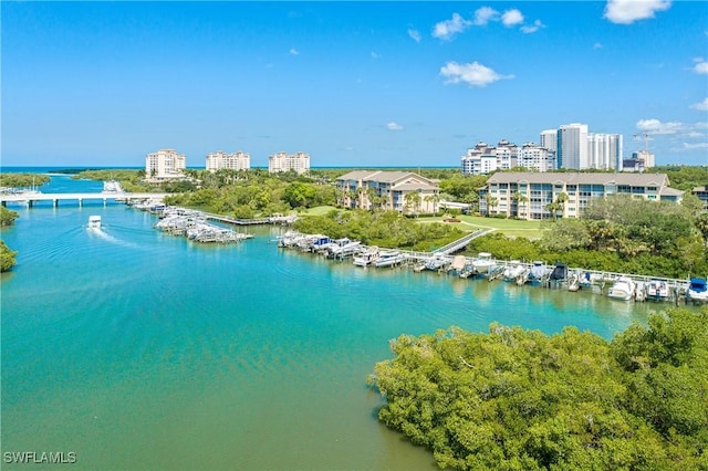 430 Cove Tower Dr Unit 803, Naples, FL 34110 - photo 38