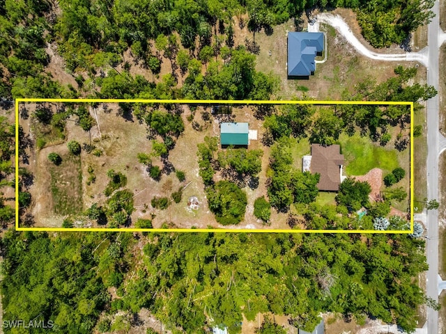 2390 27th Ave NE, Naples, FL 34120 - photo 3