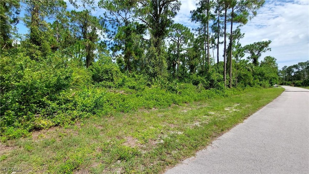 516 Summit Ave S, Lehigh Acres, FL 33974 - photo 1