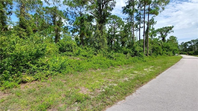 516 Summit Ave S, Lehigh Acres, FL 33974 - photo 1