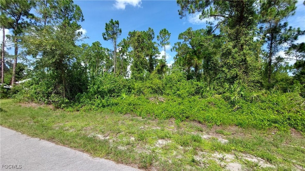 516 Summit Ave S, Lehigh Acres, FL 33974 - photo 2