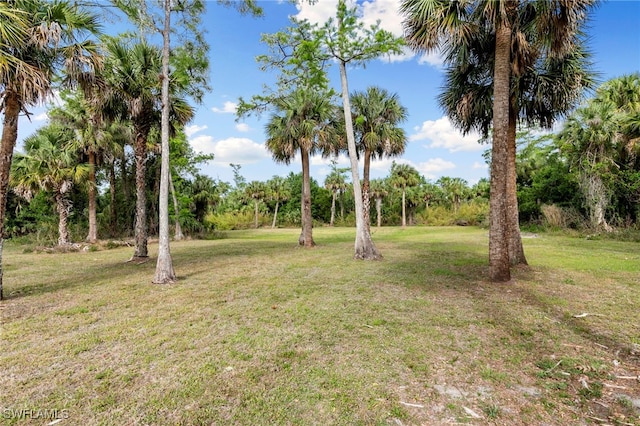 1020 19th St SW, Naples, FL 34117 - photo 46