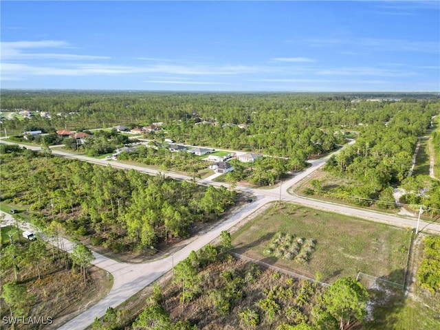 1844 Richmond Ave N, Lehigh Acres, FL 33972 - photo 35