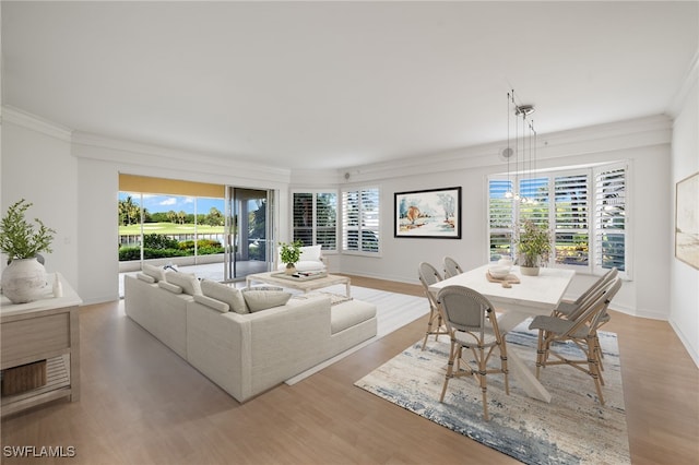 1880 Les Chateaux Blvd Unit 104, Naples, FL 34109 - living area featuring ornamental molding, light wood-style floors, and plenty of natural light