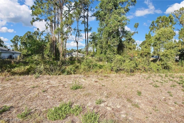 5321-5323 28th St SW, Lehigh Acres, FL 33973 - photo 36