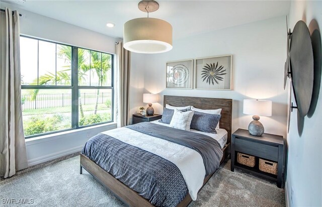 44204 Kelly Dr, Punta Gorda, FL 33982 - bedroom with carpet floors, multiple windows, and baseboards
